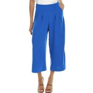 Ted Baker Pleated Coulottes Pants Womens Size 6 Blue Wide Leg Pants